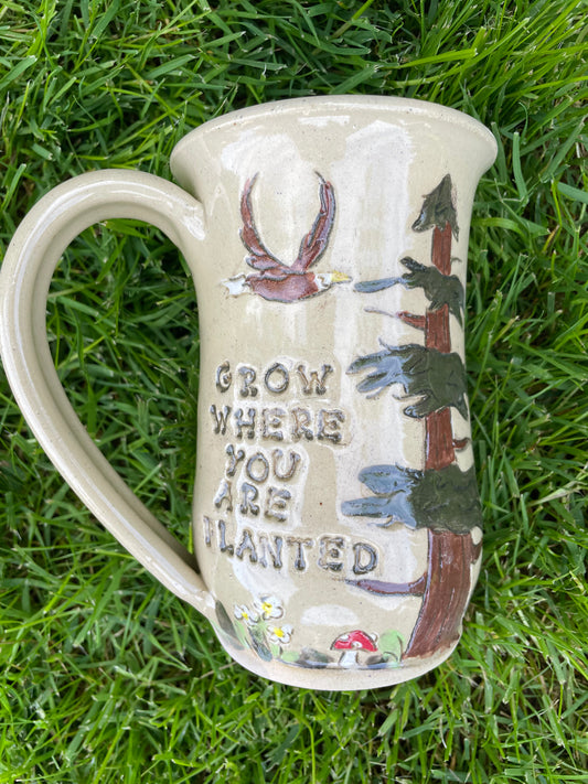 Grow where you are Planted